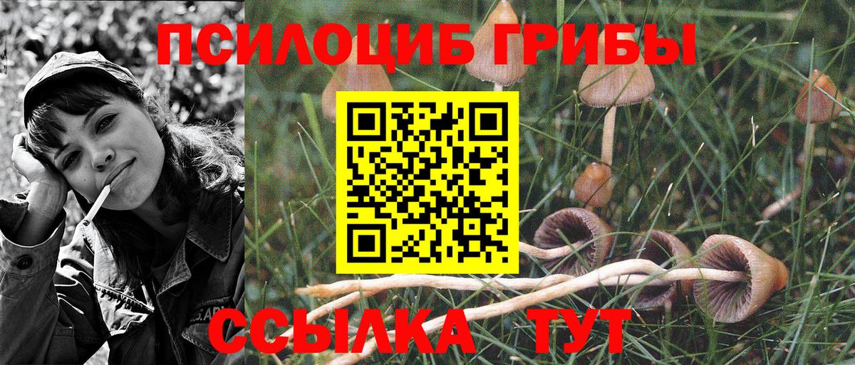 Псилоцибиновые грибы Psilocybine cubensis  Вход с VPN  Псилоцибиновые грибы Psilocybe  Лысьва 